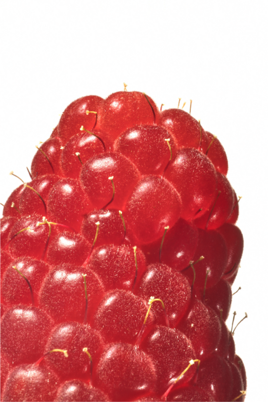 Rasberry Close Up
